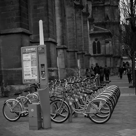 Notre Dame Daire *